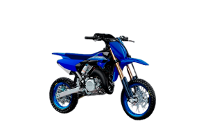 YZ65